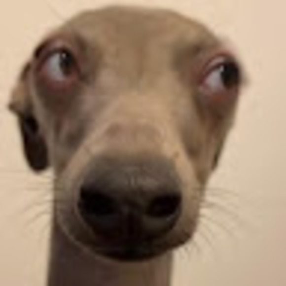 Meet your Posher, Paulina - Picture 1 of 1